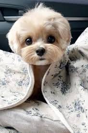 Katelyn Abernathy (abkatelyn)