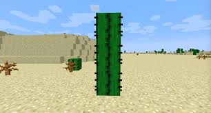 Submit a comment in the thread with the seed. Tip 3 Use A Cactus As A Garbage Disposal 5 Minecraft Tips Get Water To Work For You Energize Your Game With Lava And More Peachpit