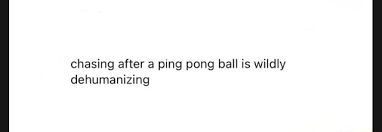 Chasing After A Ping Pong Ball Is Wildly Dehumanizing