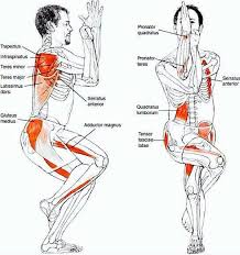 Aguila Estirando Yoga Muscles Yoga Anatomy Bikram Yoga