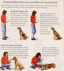 Dog Training Hand Signals Chart Www Bedowntowndaytona Com