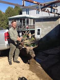 The mushroom princess is being held captive by the evil koopa tribe of turtles. Boucherie Mario Theberge Home Facebook