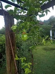 Maybe you would like to learn more about one of these? Misteri Villa Bunian Kenapa Baru Experience Terengganu Facebook