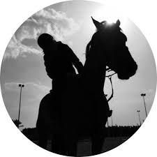 pin by jameelmohammed on خيل cool instagram pictures girly images creative instagram stories