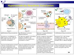 Hypersensitity And Types Of Hypersensitivity I Ii Iii Iv