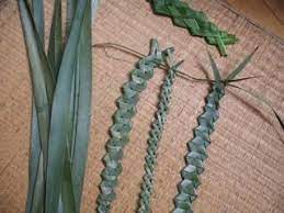 Flax Headband Weave Google Search Flax Weaving Flax Flowers Weaving