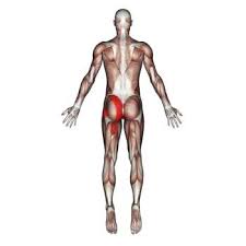 When a specific muscle is affected, it may lead to compensatory movements, fatigue, and a shooting and sharp pain felt on one side on your lower back and hip may be caused by muscle spasm, joint dysfunction, and/or nerve compression in. Hip Muscles The Wellness Digest