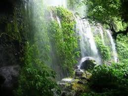 Image result for air terjun benang kelambu