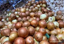 Khasiat bawang putih dan madu bisa bikin obat kuat. 9 Manfaat Bawang Bombai Yang Jarang Diketahui