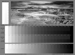 Grey Scale Color Chart Print Test Chart Kodak Gray Scale