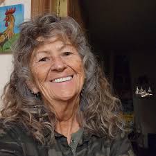 Debra Lynn Vittori Debra L. Vittori, 63 of Montrose passed away