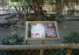 Firma y difunde esta petición por el cierre del zoológico de quilpué. Zoologico De Quilpue Contara Con Nueva Senaletica La Opinion Online