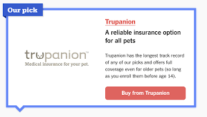 Trupanion is one of the providers that can pay your veterinarian directly—if your vet accepts it. Trupanion Understanding The Bull And Bear Perspectives Nasdaq Trup Seeking Alpha