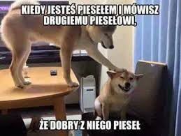 Halo Policja Prosze Przyjechac Na Fejsbuka Swieto Policji 2019 Na Wesolo Zobacz Najsmieszniejsze Memy Gazetawroclawska Pl