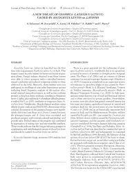 Va multumesc ca sunteti alaturi de ferma lui mitica, parerile voastre sunt foarte importante pentru mine, de aceea va puteti exprima opiniile si intrebarile. Pdf A New Disease Of Grasspea Lathyrus Sativus Caused By Ascochyta Lentis Var Lathyri