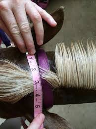 Bonnet Measurements4 Crochet Horse Bonnets Horse Diy