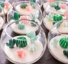 Cactus Terrarium Candle Terrarium Candle Etsy Candles Melting Candles