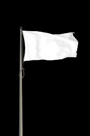 mystery white flags on brooklyn bridge provoke social media frenzy white flag flag flag drawing
