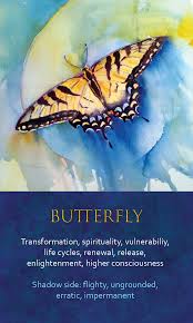 We did not find results for: Spirit Animal Awareness Oracle Cards Butterfly Spirit Animal Totem Animal Totem Spirit Guides Spirit Animal