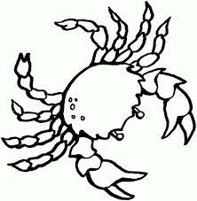 We bring you some amazing sea animals coloring pages for kids to have your little ones enjoy the coloring sessions. Free Realistic Sea Crab Sea Animals Coloring Page Animal Coloring Pages Animal Coloring Page Animals Coloring Pages