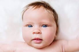 Iris Crandall photography...