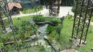 Malacca zoo travelers' reviews, business hours, introduction, open hours. Disappointing At This Price Point Review Of Melaka Bird Park Melaka Malaysia Tripadvisor