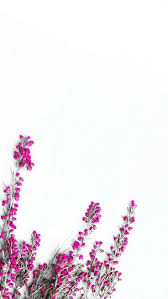 Cinta Adalah Sebuah Puisi Indra Gambar Kutipan Desain Wallpaper Phonewallpaper Latar Belakang Abstrak Wallpaper Bunga