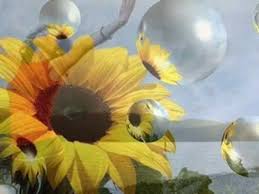 Wind Of Change Gyonyoru Zene Pansip Panflute Wind Of Change Pan Flute Wind