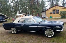 Image result for Saddle Bronze 1963 Tempest