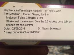 Metacam oral suspension is a medication prescribed for dogs that are showing signs of osteoarthritis. Metacam In Canada Thecatsite