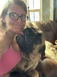 Sharing photos and stories of beloved mastiff dogs