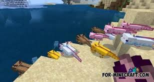 We did not find results for: Java Axolotls Addon For Mcpe 1 16