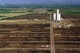 Cattlemen Struggle Against Giant Meatpackers And Economic Squeezes Cattle Facility Cattle Vintage Farm
