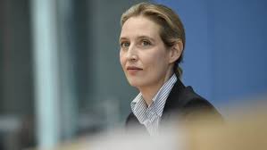 Das verkündet sie bei markus lanz. Openly Gay Leader Seeks To Soften Image Of Germany S Afd Financial Times