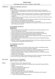 it enterprise architect resume samples