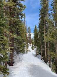 Burro Trail Hiking Trail Breckenridge Colorado