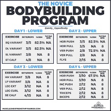 Try a fitness log to introduce new exercises or routines. Beginner Bodybuilding Program Spreadsheet By Ripped Body 4 Day Routine 2021 Lift Vault