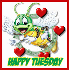 With tenor, maker of gif keyboard, add popular animated happy tuesday animated gifs to your conversations. Cartoon Happy Tuesday Funny Morning Quotes Quotesgram