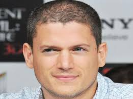 Svu for season 22, et has confirmed. Prison Break Actor Wentworth Miller On What It Was Like To Be Turned Into A Meme The Independent The Independent