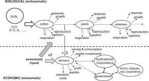 Là, je trouve que la série devient catastrophique; Bio Economics Of Indian Hybrid Bt Cotton And Farmer Suicides Environmental Sciences Europe Full Text