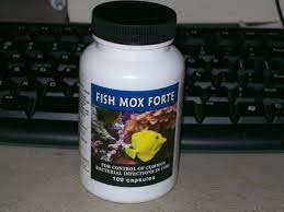 500 Mg Amoxicillin Fish Mox Forte From Survival Project Fish Antibiotics Emergency Prepardness