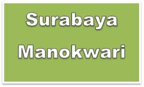 Jasa ekspedisi pengiriman surabaya ke provinsi papua barat : Ekspedisi Surabaya Manokwari