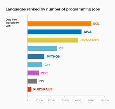 Https Www Jademy Ro Blog De Ce Este Java Cel Mai Popular Limbaj De Programare