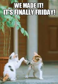 70 Funniest Friday Memes And Best Tgif Meme For The Weekend Funny Friday Memes Friday Quotes Funny Good Morning Friday Please post your best happy friday images for our tgif, in small sizes only every friday: funny friday memes friday quotes funny