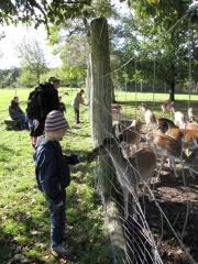 Im winter ist der eintritt zum freiland des gartens kostenlos. Botanischer Volkspark Pankow In Berlin Ausfluge Mit Kindern Ytti