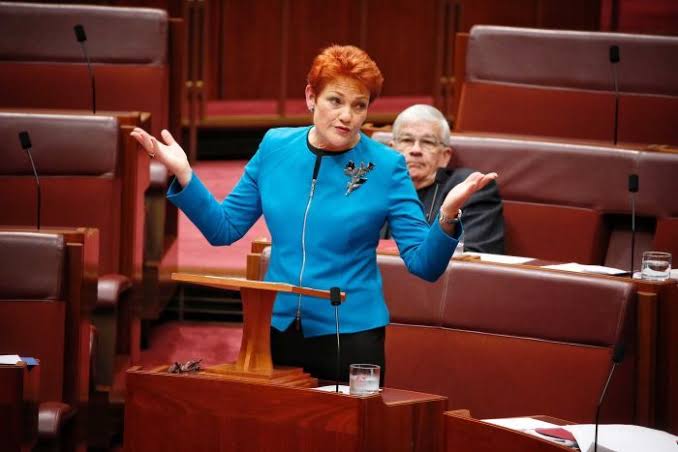 Pauline Hanson v the gas giants: who would have thought? - Michael West