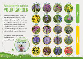 Perennial flowers are a great option to bring in honey bees because after the initial investment and time spent planting. Gardens All Ireland Pollinator Plan