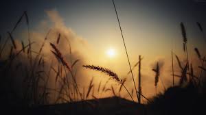 Dreamy sunset on the lake shore. 6k Wallpapers Top Free 6k Backgrounds Wallpaperaccess