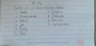 Maybe you would like to learn more about one of these? Tolong Dijawab Ini Dikumpulkan Besok Brainly Co Id