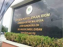 The establishment of the rubber research of malaysia (rrim) in 1925 has started the research and development in various aspects related to rubber improvement in malaysia. Research In Rubber Needs New Vigour The Star